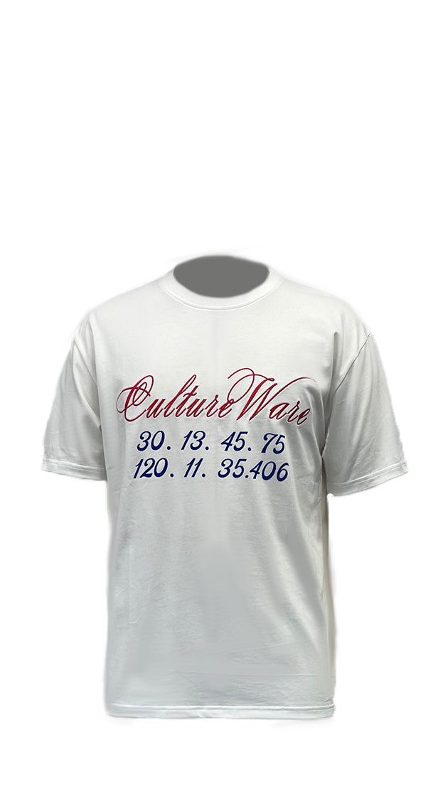 Men's Short Sleeve Tee screen and velvety prints